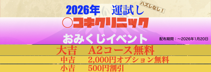 【 おみくじ＆お年玉イベント 】